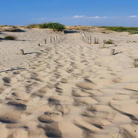 Bright In Nieuwpoort